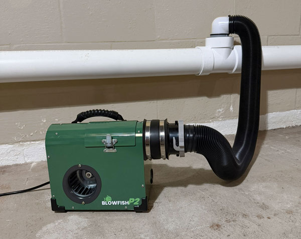Blowfish P2 smoke blower connected to a cleanout for rodent entry detection smoke testing